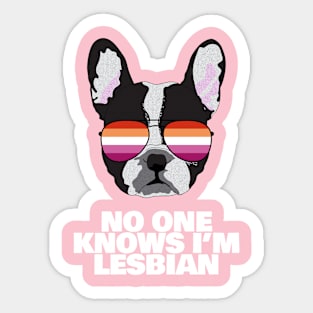 Funny NO ONE KNOWS I'M LESBIAN - Boston Terrier Dog Lesbian Pride Flag Sticker